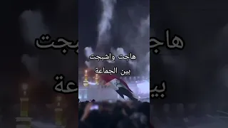 هاجت وشبجت بين الجماعة شعر ذوالفقار عبدالرزاق اكسبلور الشعرالشعبي دويتو تيك توك لايك لايك اشتراك  هاجت وشبجت بين الجماعة شعر ذوالفقار عبدالرزاق اكسبلور الشعرالشعبي دويتو تيك توك لايك لايك اشتراك