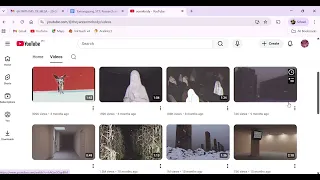 It Has No Captions But Yet Was Still Able To Post It 