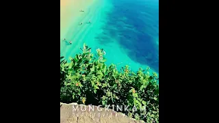 Download MUNGKINKAH (BROERY MARANTIKA) | CHRISTOVITA WILOTO MP3