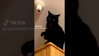 Https Youtu Be Xd8PGOLM0fY Si WM9oE4QFSPlW3iU2 