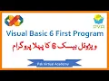 6 - First Visual Basic 6 Program
