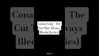 Conan Gray The Cut That Always Bleeds Lyrics Decay Music Lyrics Music 