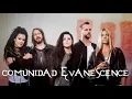 Download Lagu Wasted on you Evanescence