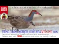 Download Lagu Video #11 : Tiếng Chằng Nghịch, Cuốc Hoa, Gõ Thìa miễn phí đánh đêm mới nhất tháng 8/2018