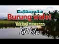 Download Lagu Sp.walet tarik jarak jauh