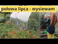 Download Lagu Co warto wysiać w połowie lipca, by zebrać pełne kosze, a co urośnie mniejsze?