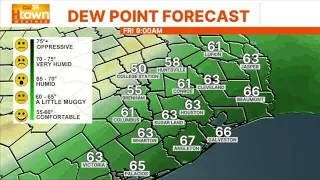 New Year s Day warmup Sunshine and near 80s for Houston