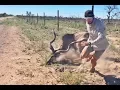 Download Lagu Kudu Rescue in Central Kalahari