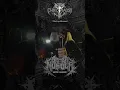 Download Lagu sister murder - soul bomber destruction.mp4 #sistermurder #deathmetalmusic #deathmetal #metalcore