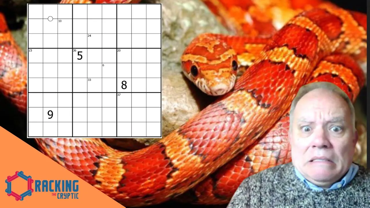 Seeking out that Orange Snake!