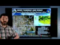 Windy Dusty Thursday and Friday