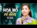 Download Lagu Hoa Nở Về Đêm - Phi Thanh (Official MV)