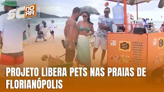 Vereadores liberam presença de animais nas praias da Capital com regras