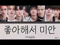 Download Lagu 《かなるび/歌詞/日本語字幕》좋아해서 미안(Sorry,I Love You) ｰ Straykids(스트레이키즈)
