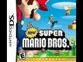 New Super Mario Bros (NDS) Longplay [370]