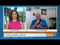 Toledo Animal Rescue might have your next best friend