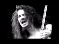Dimebag Darrell Domination Solo #shorts