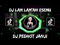 Download Lagu DJ Lam Laman Esemmu Ning Atiku - DJ Pedot Janji!! DJ Tiktok Terbaru 2023!! DJ Viral Tiktok Mengkane