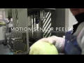 Daylight Foods - Processing