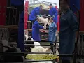 Download Lagu Sheep Loading Pro! Stress-Free Farm Transport Trick 🐑🚛