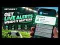 How to Set Up Live Football Alerts on BetMines ⚽