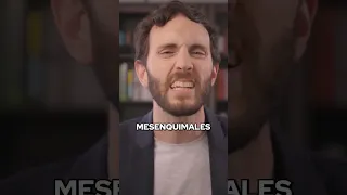 Como Aumentar tus Celulas Madre Con Sustancias Naturales