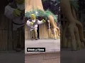 SUSCRIBETE PARA MAS S PortAventuraWorldTV SHREK