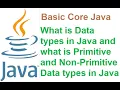 3 Primitive and Non Primitive Data types in Java