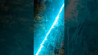 Melissa and me living it up zip lining with @Driving Creek NZ So much fun on the Cormandel Peninsula