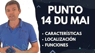 Download PUNTO 14 de DU MAI - 大椎 - dà zhuī │cansancio, agotamiento físico y mental, fibromialgia MP3