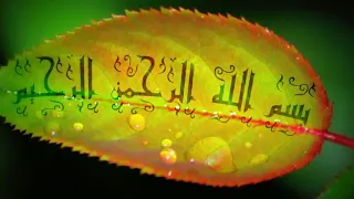 تلاوة مباركة من سورة الكهف للقارئ أحمد الحذيفي 