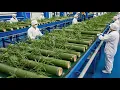 Lagu Thousands of Tons of Fresh Bamboo per Day | Inside a Modern High-Tech Bamboo Processing Factory