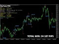 Best Auto-Optimized MT4 MT5 Trading Indicator DayTrader PRO No Repainting