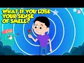 Download Lagu Can't Smell Anything? | What if You Lost Your Sense of Smell? | What is Anosmia? | Dr. Binocs Show