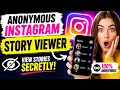 Anonymous Instagram Story Viewer - Does It Really Work