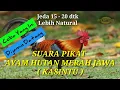 Download Lagu Suara Pikat Ayam Hutan Merah Jawa  Jantan | Kasintu