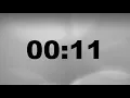 11 Second Timer - Simple Countdown with Alarm