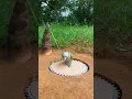 Download Lagu Watch This Clever Animal Outsmart The Trap!
