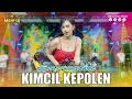 Download Lagu RIRIN DA - KIMCIL KEPOLEN | Mahesa Music
