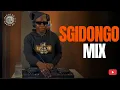 Lagu Sgidongo Mix 2026  | Mdu aka Trp | Shakaman YKTV  | By Babza Da J #amapianomix2026 #sgidongo 
