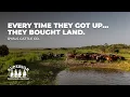 Inside a Florida Cattle Ranch Shipping Week at Ryals Cattle Company