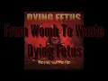 Dying Fetus - From Womb To Waste Lyrics