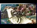 Taming Our First Shiny Dino ARK Svartalfheim Ascended
