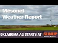 Mesonet Weather 21