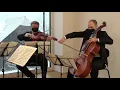 Borodin String Quartet No. 2 (Vector Quartet)