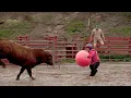 Download Lagu Jackass 3.5 (2011) - Yoga Ball