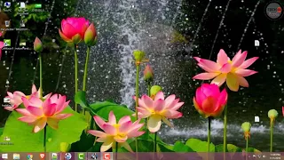 Cityxguide New Tutorial Perday 250-300 Leads For Cpa Marketing