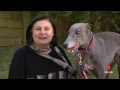 Gumtree Greys - Making a Difference Courtesy of Channel 7
