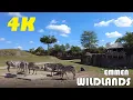 Download Lagu Wildlands Adventure Zoo || Emmen || 2025