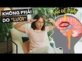 Download Lagu The Real Reason You Have No Discipline